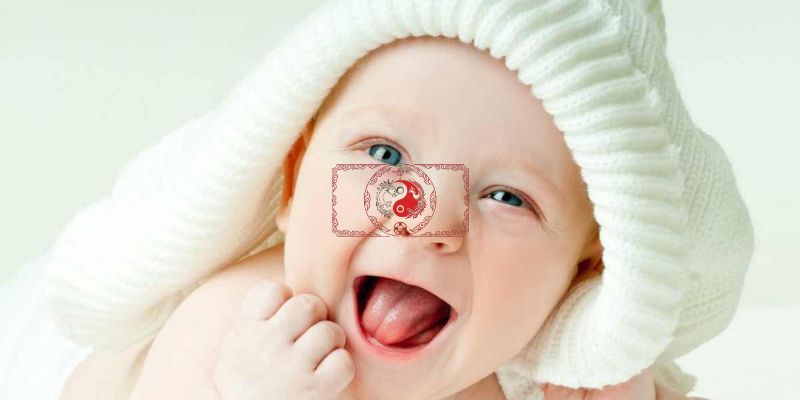 2027 Là Mệnh Gì