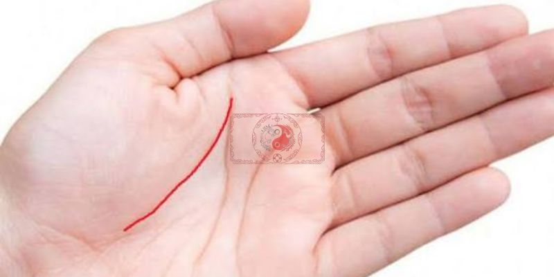 Đường sinh đạo