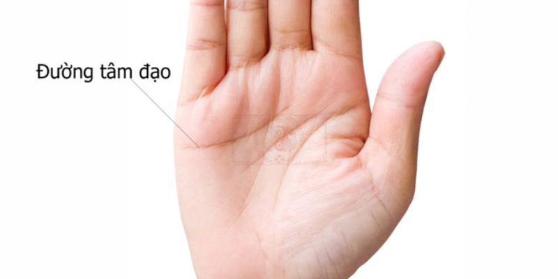 Đường tâm đạo