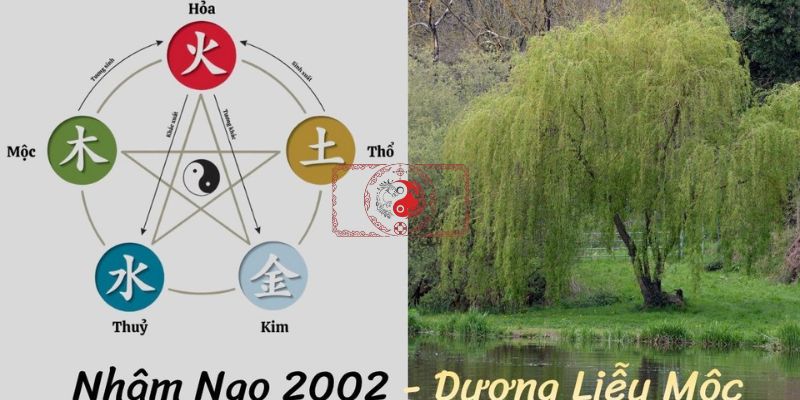 Ý nghĩa dương liễu mộc của người sinh năm 2002
