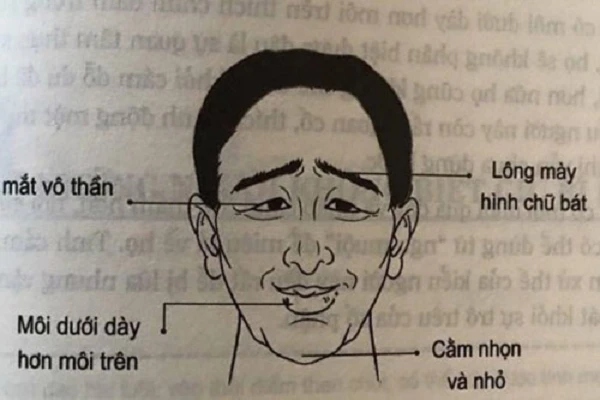 Tướng Mặt Của Người Thích Ăn Sẵn